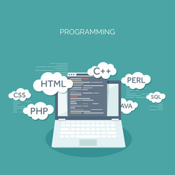flat background coding vector image