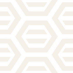 Hexagonal Lattice Pattern vector image