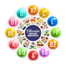 Vitamins in dried fruits nuts and cereal grains vector