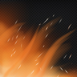 Realistic red-yellow fire on a dark background Vector Image