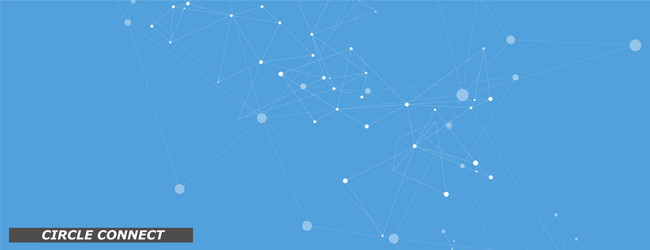 global network connections with points lines vector image