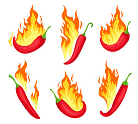 chili on fire cartoon hot red peppers with flames vector