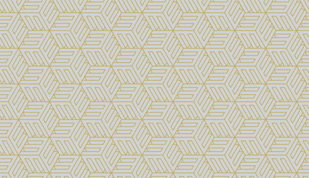 geometric pattern seamless trendy design vector