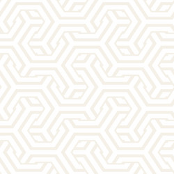 Interlaced Hexagonal Pattern vector image