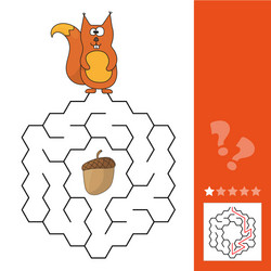 help squirrel to find way pinecone in the maze vector image