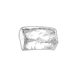 Wheat square bread isolated monochrome sketch vector