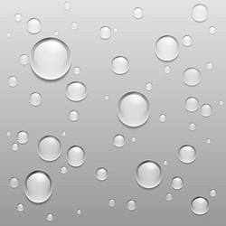 Bubbles in water on blue background horizontal Vector Image