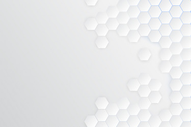 3d gradient white hexagonal background vector image