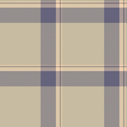 nostalgia background texture textile custom vector image