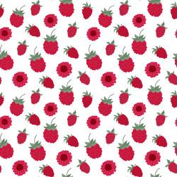 bright raspberry and flower pattern on a white vector image
