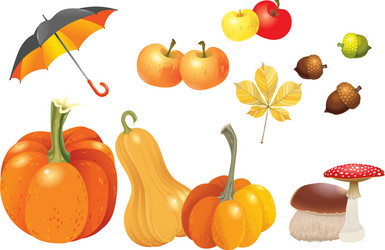 set of autumn objects pumpkins different types vector image