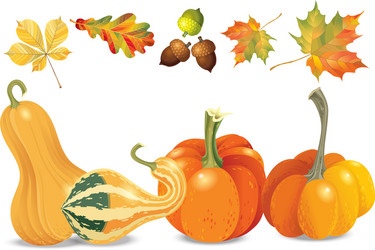 set of autumn objects pumpkins different types vector image