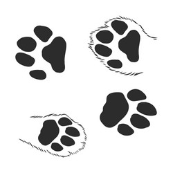 a set dogs paws black traces in different Vector Image