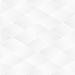Retro Halftone Dotted Pattern vector image