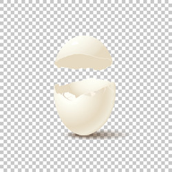 Broken empty eggshell isolated on transparent vector