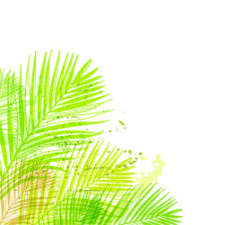 Background summer green card leaves palm vector