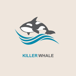 Killer whale icon vector