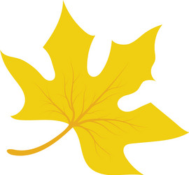 Realistic autumn leaf maple Royalty Free Vector Image