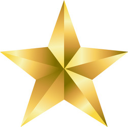 isolated star design vector