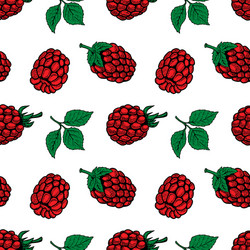 seamless pattern with raspberries design element vector image
