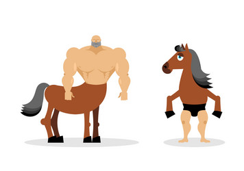 Mythical Centaur Warrior Vector Image
