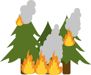 pine tree forest on fire icon image vector