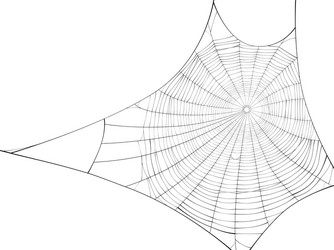 Silhouette of web spider vector