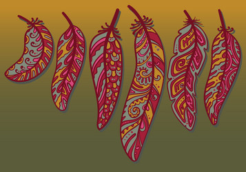 Colored feathers set Royalty Free Vector Image