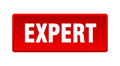 expert button square red push vector image