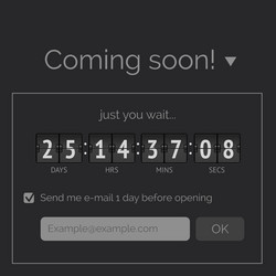Retro Countdown Timer Display vector image