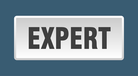 expert button square white push vector image
