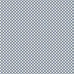 Fish Scale Pattern - Seamless Repeat vector image