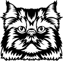 persian cat peeking cats breed pet vector