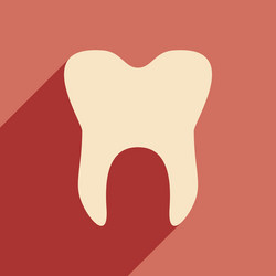 flat with shadow icon and mobile application vector image