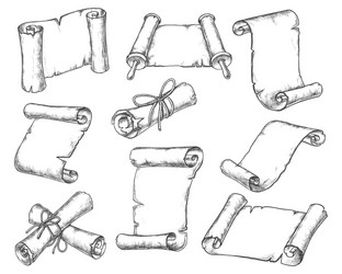 Parchment paper scroll manuscripts rolls sketch Vector Image