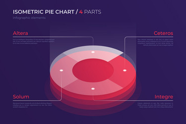 Isometric Pie Chart Template vector image