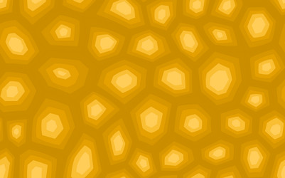 abstract modern turtle shell seamless pattern vector image