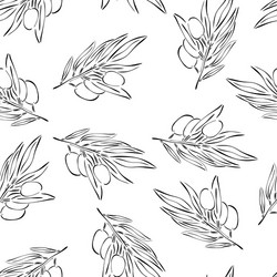 seamless pattern with branches an olive tree vector image