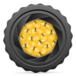 camera shutter with bees and honeycomb vector