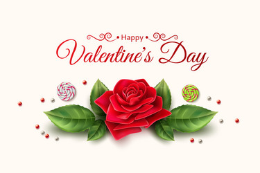 Romantic Valentine's Day Rose Candy Vector Image