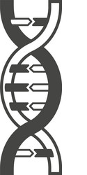 dna helix symbol logo or tattoo concept vector