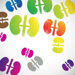 Abstract background kidneys Royalty Free Vector Image