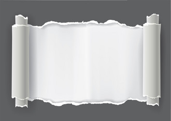 Ripped Paper Scroll Frame vector image
