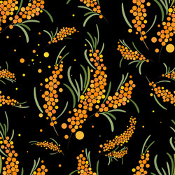 seabuckthorn seamless pattern abstract vector image