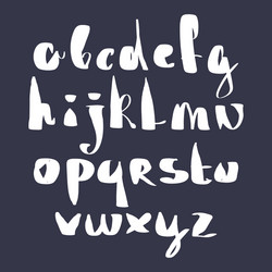 calligraphic script font alphabet letters vector image