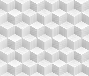 Isometric Gray Cube Pattern vector image