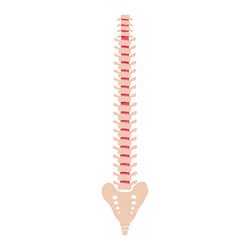 flat of spine icon for web isolated vector image