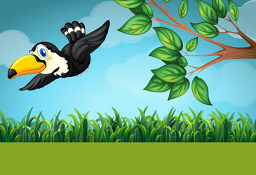 scene with toucan flying in the field vector image
