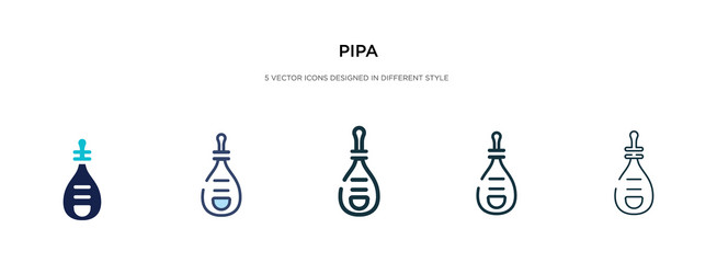 Pipa icon in different style two colored vector