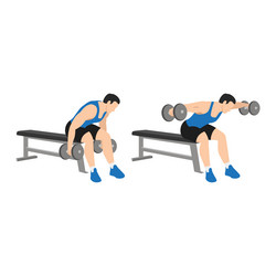 Dumbbell bent over lateral rear delt raises flyes Vector Image